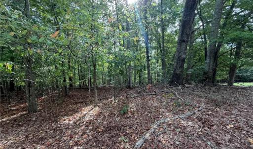 Photo #12 of 6700 Lot 25+/- Acres Doral, Tobaccoville, NC 25.0 acres