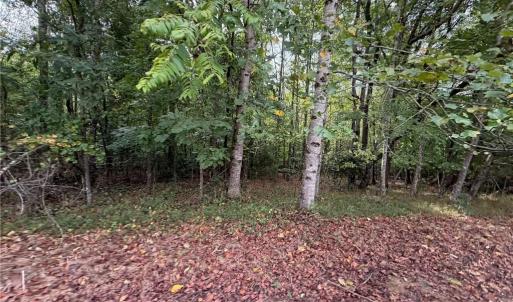 Photo #26 of 6700 Lot 25+/- Acres Doral, Tobaccoville, NC 25.0 acres