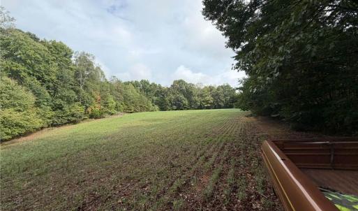 Photo #3 of 6700 Lot 25+/- Acres Doral, Tobaccoville, NC 25.0 acres