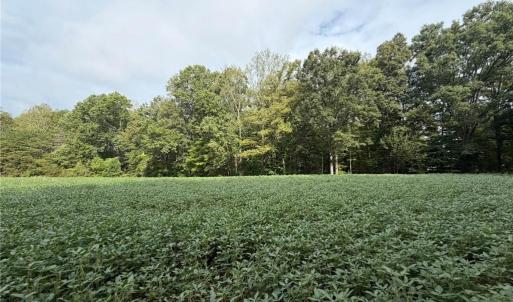 Photo #36 of 6700 Lot 25+/- Acres Doral, Tobaccoville, NC 25.0 acres