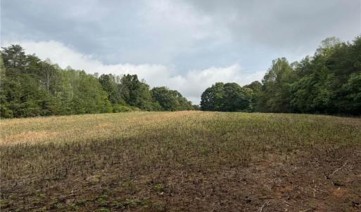 Photo #1 of 6700 Lot 25+/- Acres Doral, Tobaccoville, NC 25.0 acres