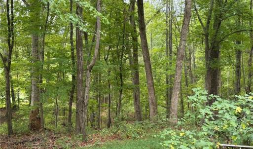 Photo #20 of 6700 Lot 25+/- Acres Doral, Tobaccoville, NC 25.0 acres