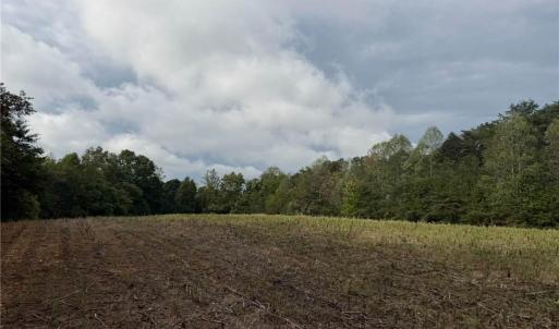 Photo #9 of 6700 Lot 25+/- Acres Doral, Tobaccoville, NC 25.0 acres