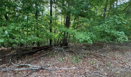 Photo #24 of 6700 Lot 25+/- Acres Doral, Tobaccoville, NC 25.0 acres