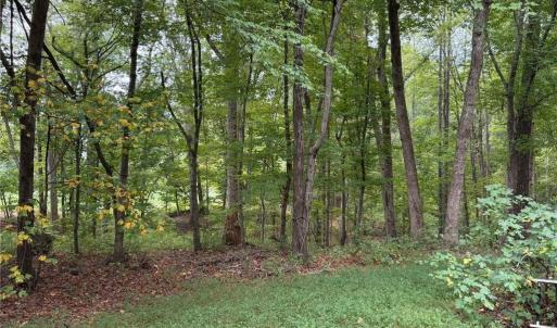 Photo #30 of 6700 Lot 25+/- Acres Doral, Tobaccoville, NC 25.0 acres