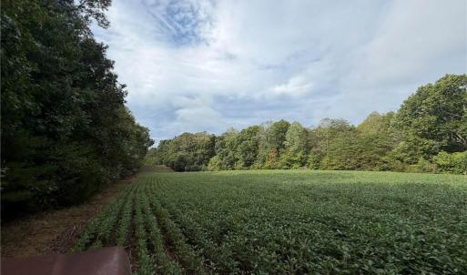 Photo #33 of 6700 Lot 25+/- Acres Doral, Tobaccoville, NC 25.0 acres