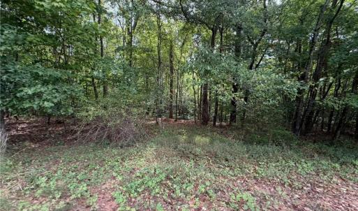 Photo #14 of 6700 Lot 25+/- Acres Doral, Tobaccoville, NC 25.0 acres