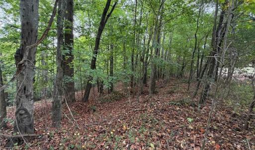 Photo #37 of 6700 Lot 25+/- Acres Doral, Tobaccoville, NC 25.0 acres