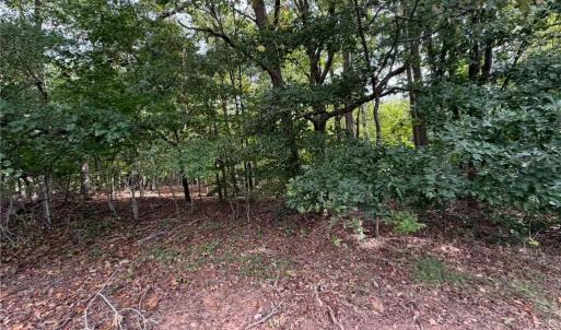 Photo #15 of 6700 Lot 25+/- Acres Doral, Tobaccoville, NC 25.0 acres