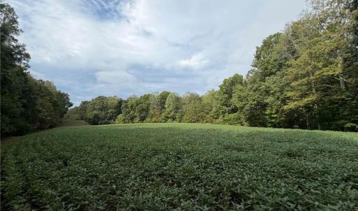 Photo #35 of 6700 Lot 25+/- Acres Doral, Tobaccoville, NC 25.0 acres