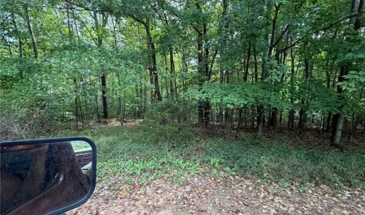 Photo #31 of 6700 Lot 25+/- Acres Doral, Tobaccoville, NC 25.0 acres