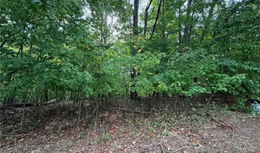 Photo #29 of 6700 Lot 25+/- Acres Doral, Tobaccoville, NC 25.0 acres