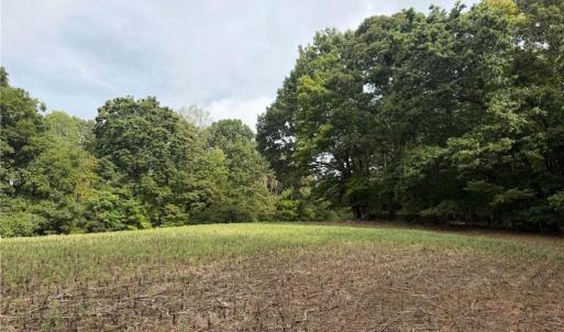 Photo #8 of 6700 Lot 25+/- Acres Doral, Tobaccoville, NC 25.0 acres