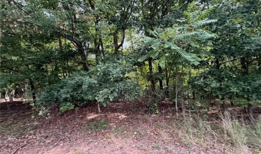 Photo #25 of 6700 Lot 25+/- Acres Doral, Tobaccoville, NC 25.0 acres