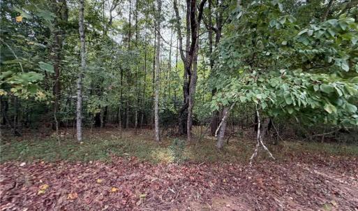 Photo #21 of 6700 Lot 25+/- Acres Doral, Tobaccoville, NC 25.0 acres