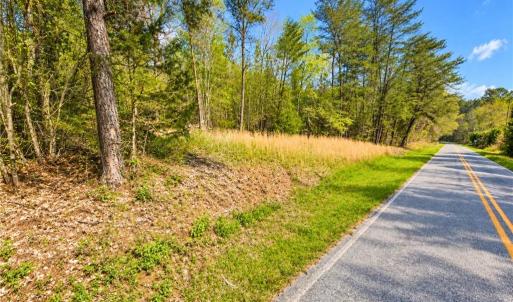 Wooded Road Frontage Country Land Orange County. Roadside view of mature hardwoods and pines along the paved frontage. Private wooded country land for a home, cabin or weekend retreat near Saxapahaw and the Haw River.