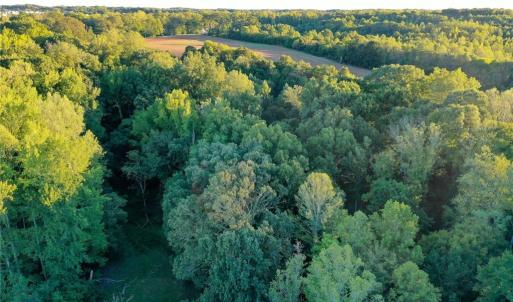 Photo #23 of 61.8 Acres Spearman, Browns Summit, NC 61.8 acres