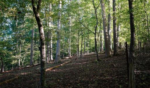 Photo #27 of 61.8 Acres Spearman, Browns Summit, NC 61.8 acres