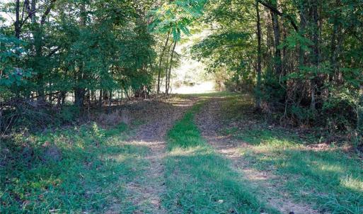 Photo #13 of 61.8 Acres Spearman, Browns Summit, NC 61.8 acres