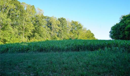 Photo #17 of 61.8 Acres Spearman, Browns Summit, NC 61.8 acres