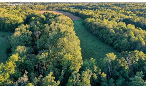 Photo #22 of 61.8 Acres Spearman, Browns Summit, NC 61.8 acres