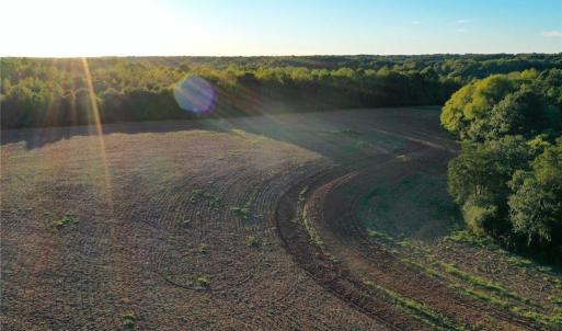 Photo #7 of 61.8 Acres Spearman, Browns Summit, NC 61.8 acres