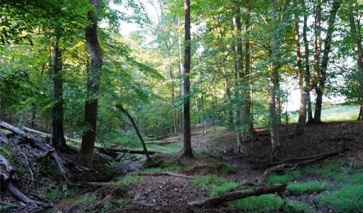 Photo #32 of 61.8 Acres Spearman, Browns Summit, NC 61.8 acres