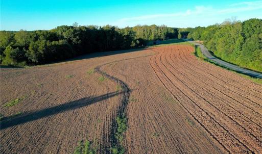 Photo #5 of 61.8 Acres Spearman, Browns Summit, NC 61.8 acres