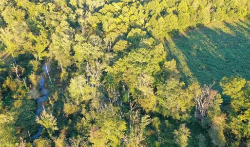Photo #20 of 61.8 Acres Spearman, Browns Summit, NC 61.8 acres