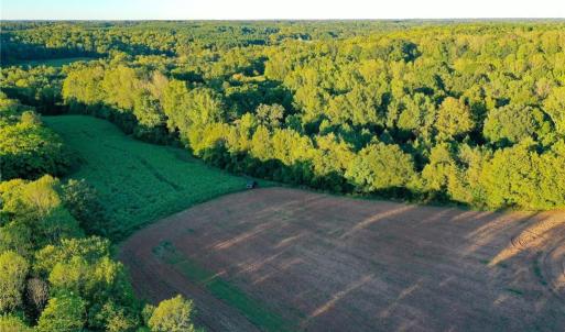 Photo #9 of 61.8 Acres Spearman, Browns Summit, NC 61.8 acres