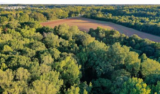 Photo #24 of 61.8 Acres Spearman, Browns Summit, NC 61.8 acres