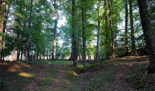 Photo #30 of 61.8 Acres Spearman, Browns Summit, NC 61.8 acres