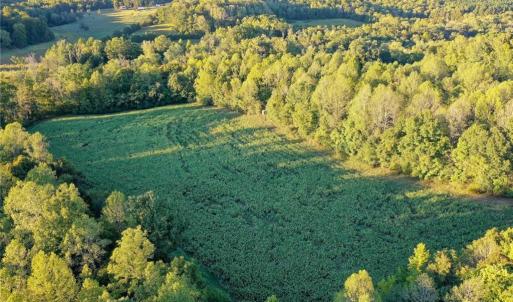 Photo #10 of 61.8 Acres Spearman, Browns Summit, NC 61.8 acres