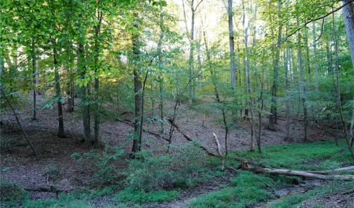 Photo #33 of 61.8 Acres Spearman, Browns Summit, NC 61.8 acres