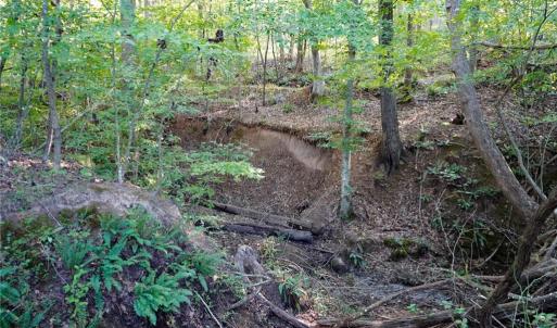 Photo #14 of 61.8 Acres Spearman, Browns Summit, NC 61.8 acres