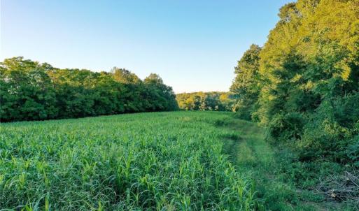 Photo #18 of 61.8 Acres Spearman, Browns Summit, NC 61.8 acres