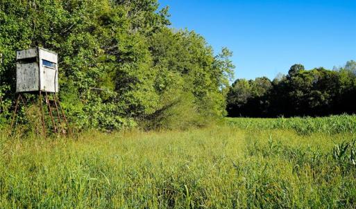 Photo #15 of 61.8 Acres Spearman, Browns Summit, NC 61.8 acres