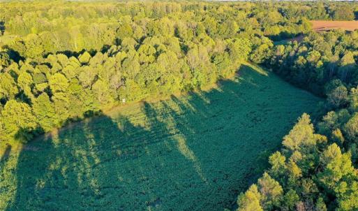 Photo #11 of 61.8 Acres Spearman, Browns Summit, NC 61.8 acres