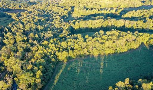 Photo #19 of 61.8 Acres Spearman, Browns Summit, NC 61.8 acres