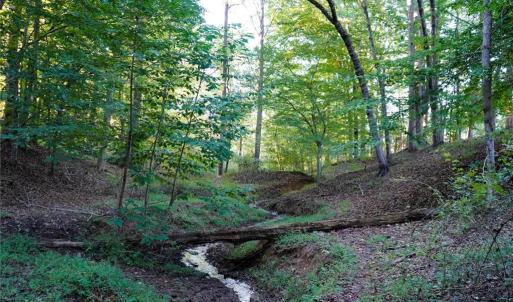 Photo #35 of 61.8 Acres Spearman, Browns Summit, NC 61.8 acres