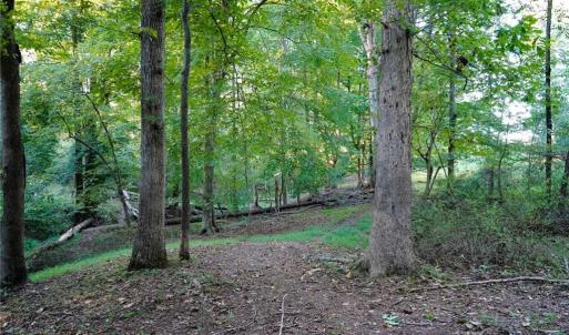 Photo #31 of 61.8 Acres Spearman, Browns Summit, NC 61.8 acres