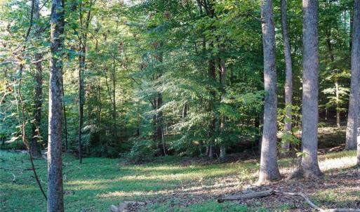 Photo #29 of 61.8 Acres Spearman, Browns Summit, NC 61.8 acres