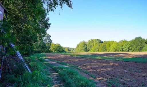 Photo #8 of 61.8 Acres Spearman, Browns Summit, NC 61.8 acres