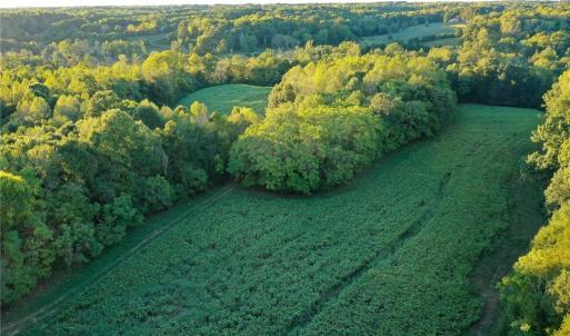 Photo #25 of 61.8 Acres Spearman, Browns Summit, NC 61.8 acres