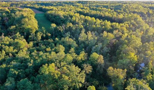 Photo #21 of 61.8 Acres Spearman, Browns Summit, NC 61.8 acres