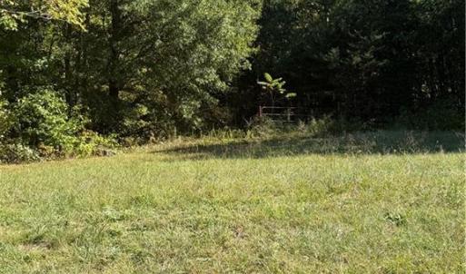 Photo #2 of 7544 US Highway 29, Browns Summit, NC 8.6 acres