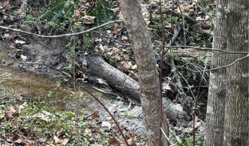 Photo #12 of 7544 US Highway 29, Browns Summit, NC 8.6 acres