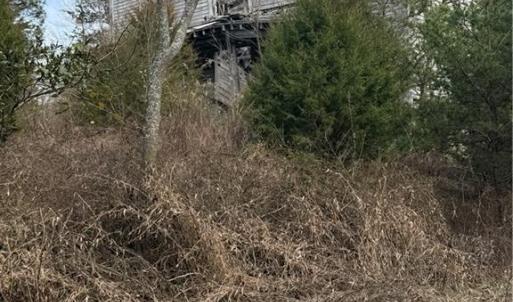 Photo #9 of 7544 US Highway 29, Browns Summit, NC 8.6 acres