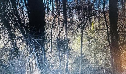 Photo #4 of 3605 Ten, Efland, NC 9.0 acres