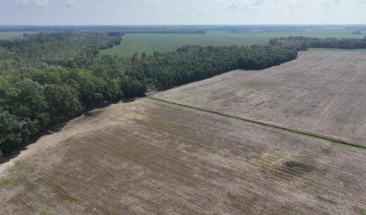 Photo #18 of SOLD property in 152 Dailey Road, Camden, NC 10.0 acres
